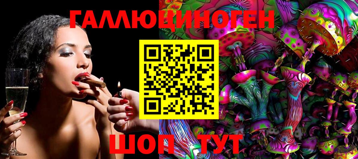 Псилоцибиновые грибы Psilocybine cubensis Прокопьевск