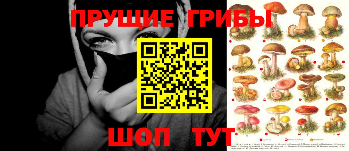 Псилоцибиновые грибы Cubensis  Псилоцибиновые грибы прущие грибы  Вход с VPN  наркотики  Прокопьевск 